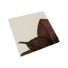 201 304 Decorative Pvd Color Coating Stainless Steel Sheet for Construction Projects